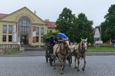 Horse and carriage rides enterteined guests during the opening