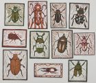 Čestné uznání: kolektivní práce dětí „Collection of beetles“ (12-13 let), MBOU DOD Detskaia shkola iskusstv, Lesnoy, Rusko